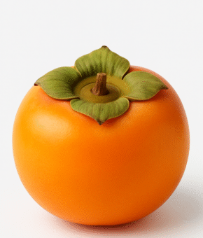 persimmon