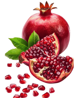Pomegranate